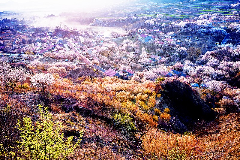 第a4版:庆祝十九大 活力西海岸·镇街铁山街道 后石沟村是一个耕地较